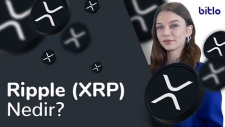 Ripple (XRP) Nedir? Davalar ve Gelişmeler